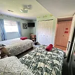 Anita\'S Homestay - Bedroom On Ground Floor With Backyard Is Downstairs