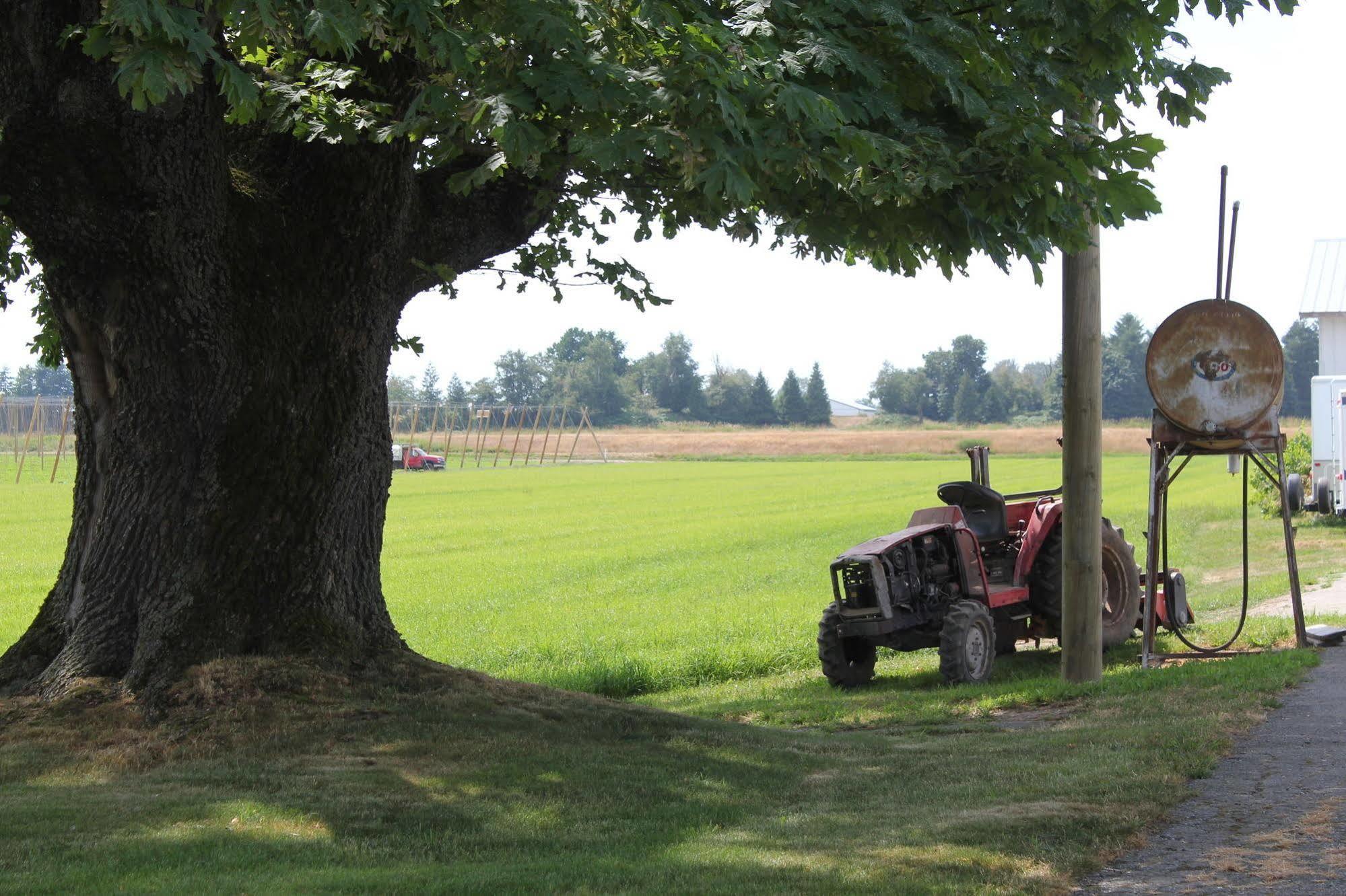 Country Charm Bed & Breakfast 3* Abbotsford